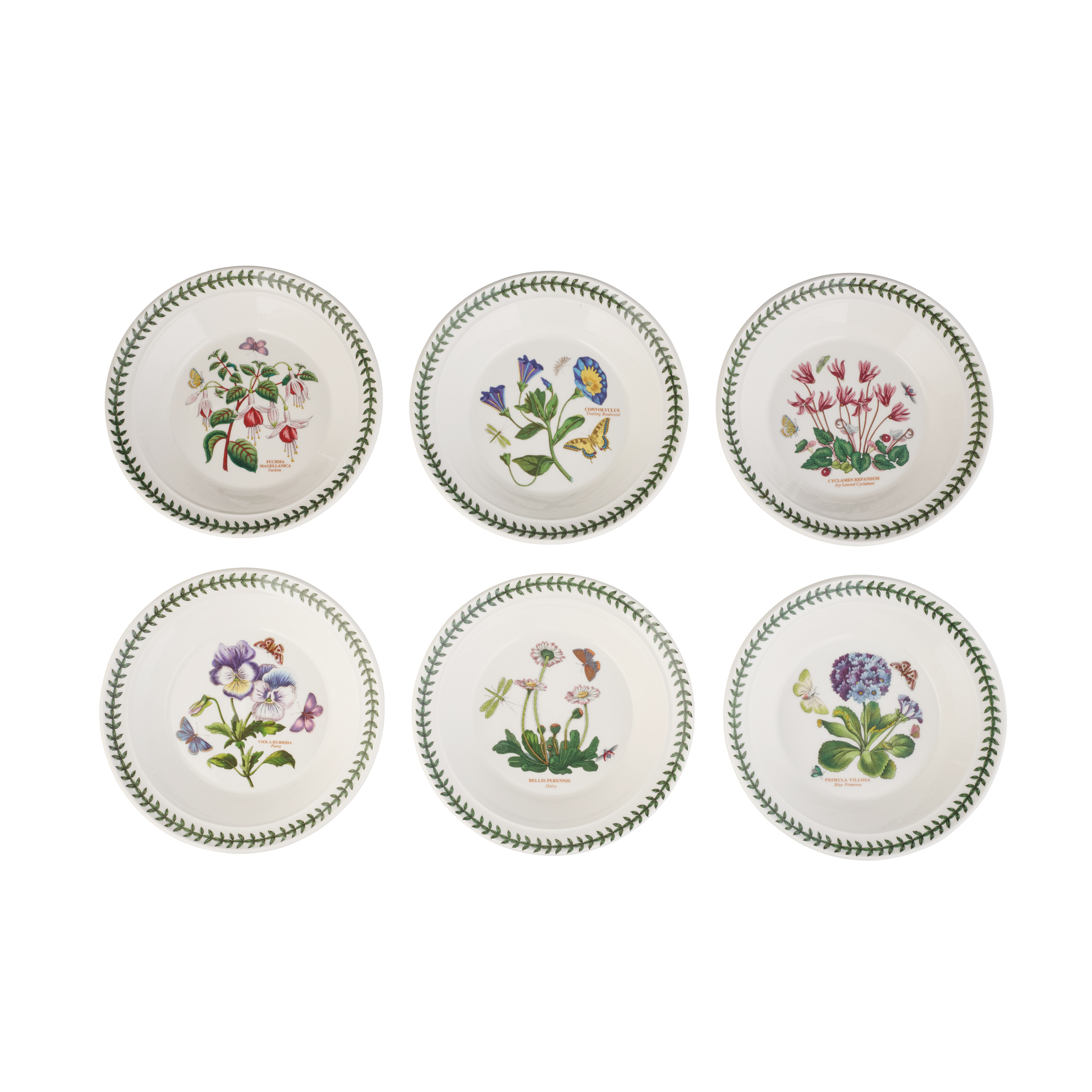 Botanic Garden 8.5 Inch Soup Plate/Bowl Set of 6 (Assorted Motifs) image number null